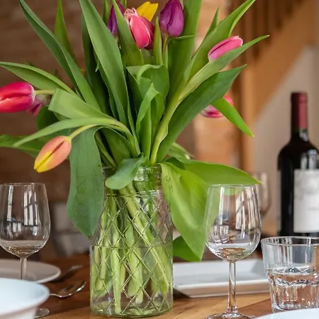 La Dependance D'elisa